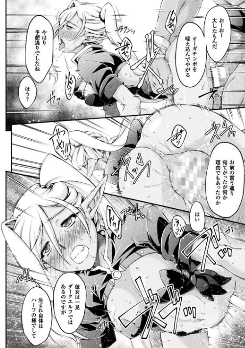 黒獣 〜気高き聖女は白濁に染まる〜 THE COMIC[作]大月渉 Liquid/〈エロ漫画〉 試し読みサンプル 18ページ目