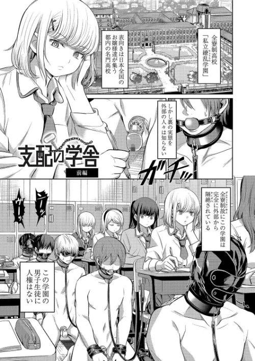 ざ・ふぃめーる・どみねーしょん【デジタル特装版】[作]山畑璃杏 COMIC快艶編集部/〈エロ漫画〉 試し読みサンプル 5ページ目