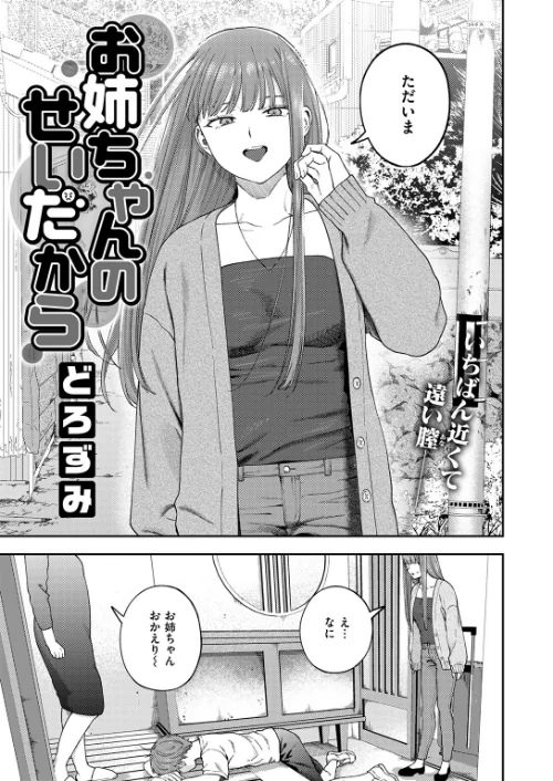 お姉ちゃんのせいだから（単話）[作]どろずみ/〈エロ漫画〉 試し読みサンプル 5ページ目