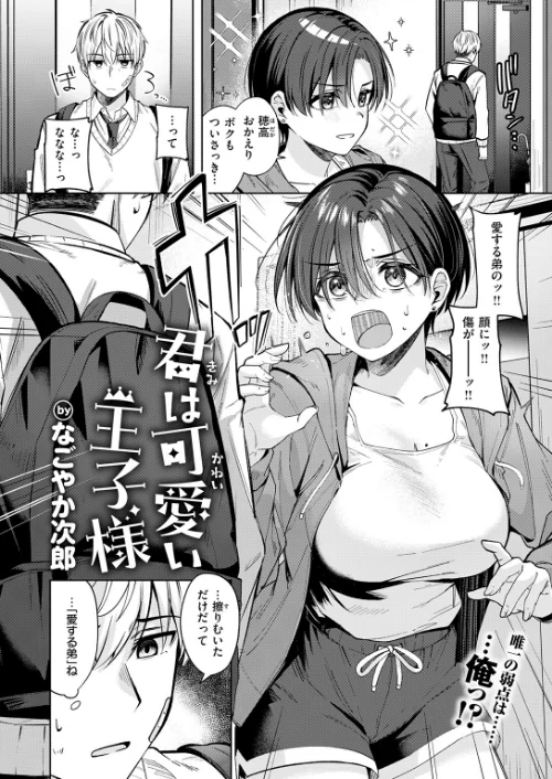 君は可愛い王子様（単話）[作]なごやか次郎/〈エロ漫画〉 試し読みサンプル 4ページ目