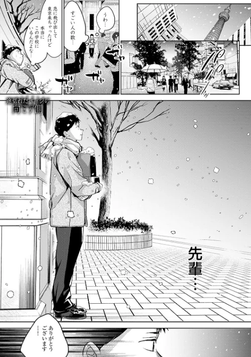 雪ふって、恋かたまる【デジタル特装版】[作]波乗かもめ/〈エロ漫画〉 試し読みサンプル 19ページ目