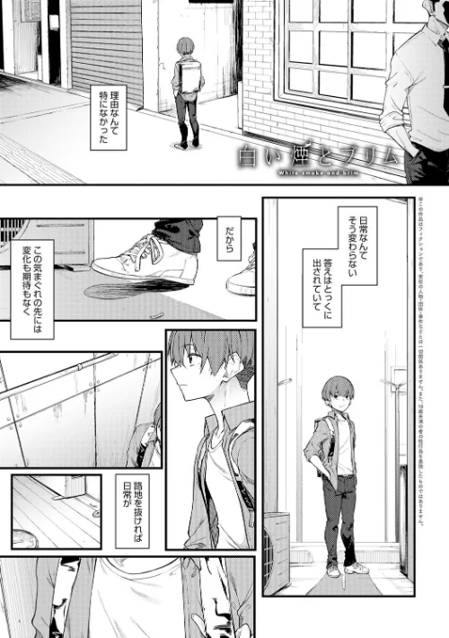 淡く、濃い、恋。【デジタル特装版】[作]スピリタス太郎/〈エロ漫画〉 試し読みサンプル 25ページ目