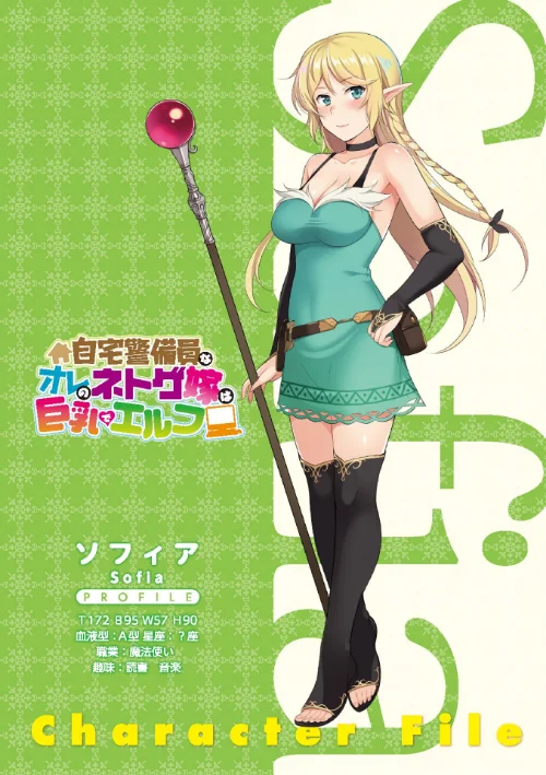 自宅警備員なオレのネトゲ嫁は巨乳でエルフ[作]本田直樹/〈エロ漫画〉 試し読みサンプル 3ページ目