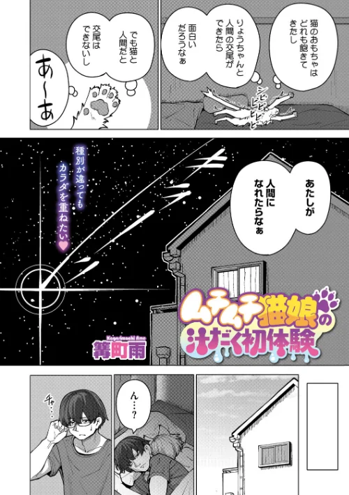 ムチムチ猫娘の汁だく初体験（単話）[作]篝町雨/〈エロ漫画〉 試し読みサンプル 2ページ目