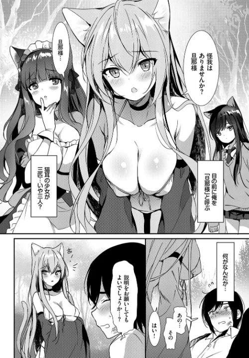 ねこ耳娘は発情期[作]dasui* 朝峰テル ヤマダユウヤ fu-ta emily コミックバベル編集部 柿野なしこ/〈エロ漫画〉 試し読みサンプル 20ページ目