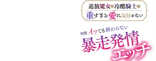 追放魔女は冷酷騎士の重すぎる愛に気付かない〜何度イッても終わらない暴走発情エッチ〜【R版】（単話）[作]寝々々/〈エロ漫画〉 試し読みサンプル 2ページ目